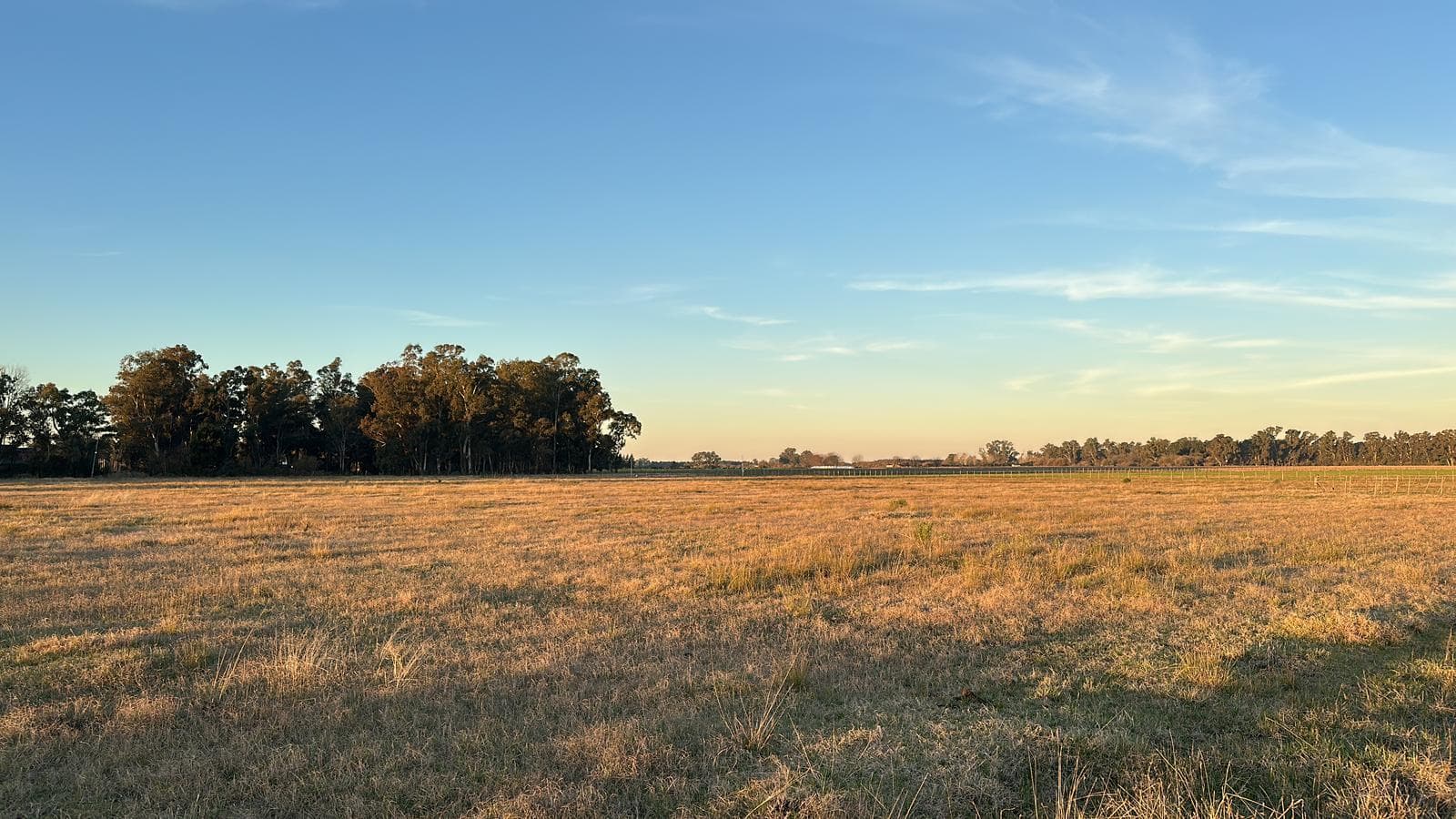 VENTA Terreno Brandsen - 1