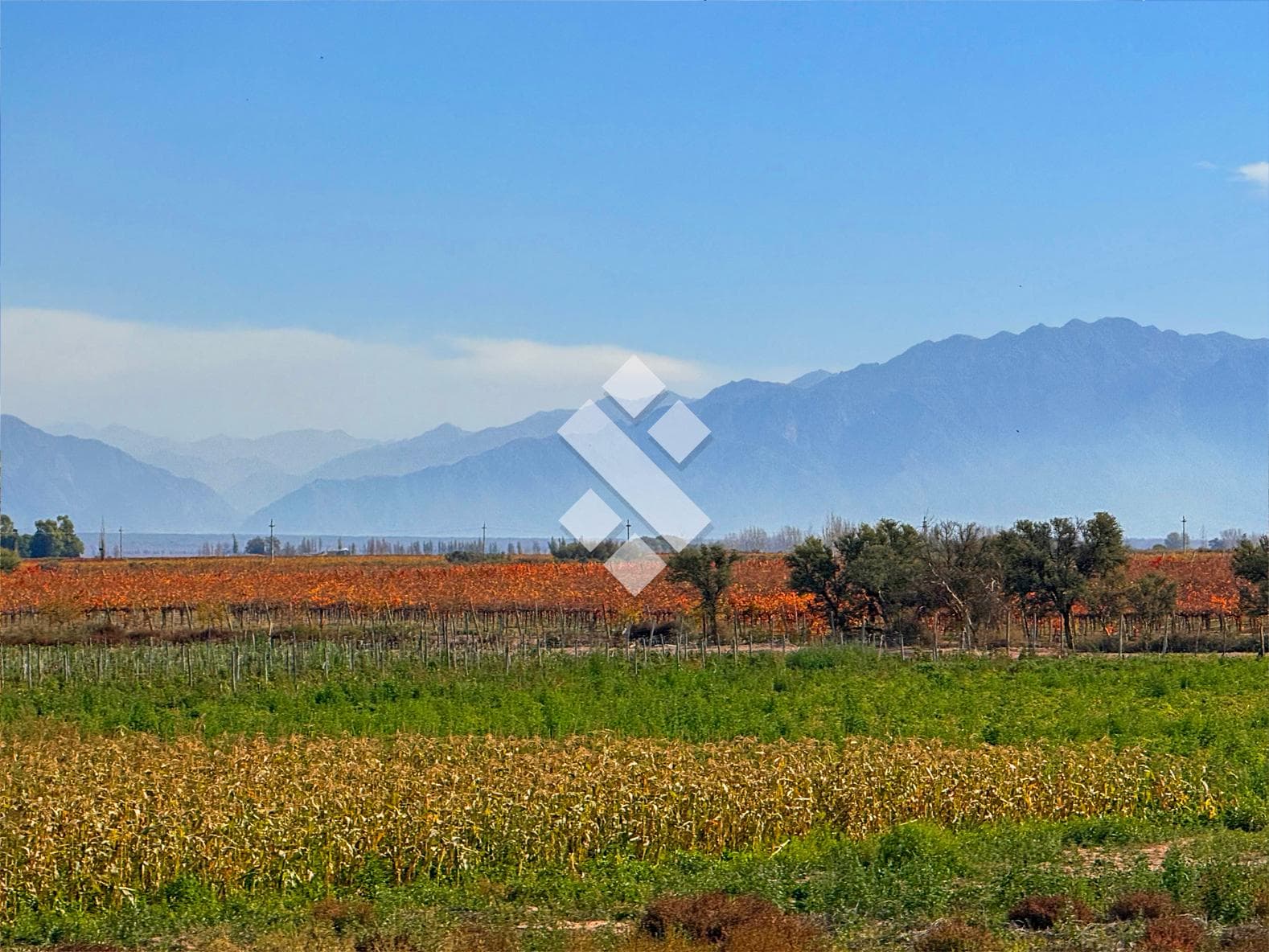 En Venta, Finca En Ugarteche, Lujan de Cuyo, Mendoza - 1