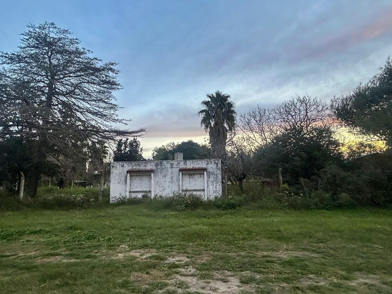 Venta Tres Terrenos en Oliveros - 1