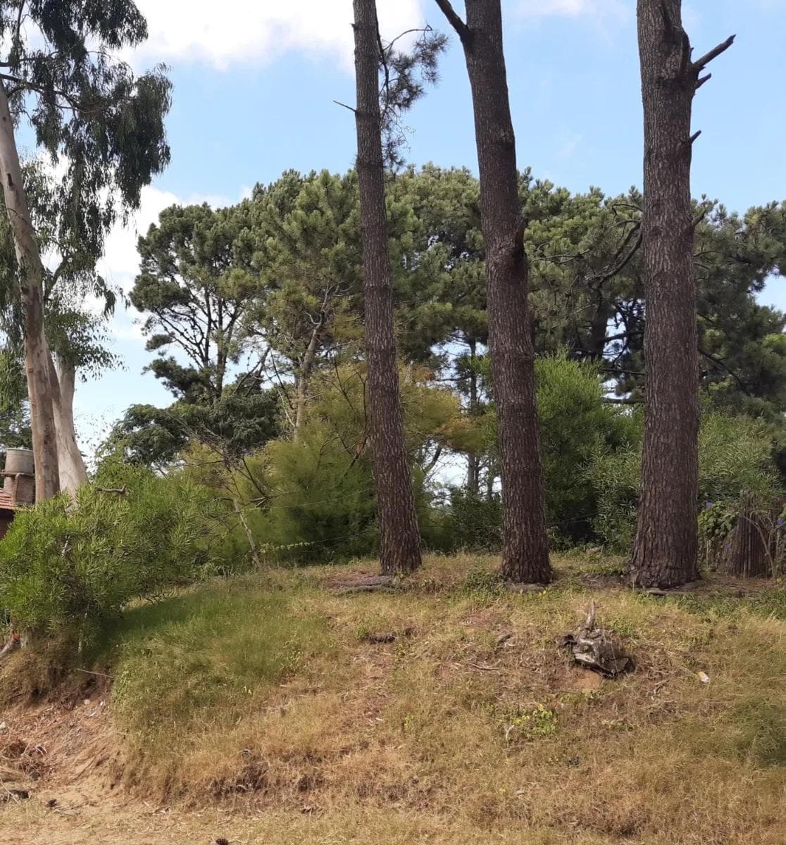 Terreno en venta - 584Mts2 - Ostende - 1