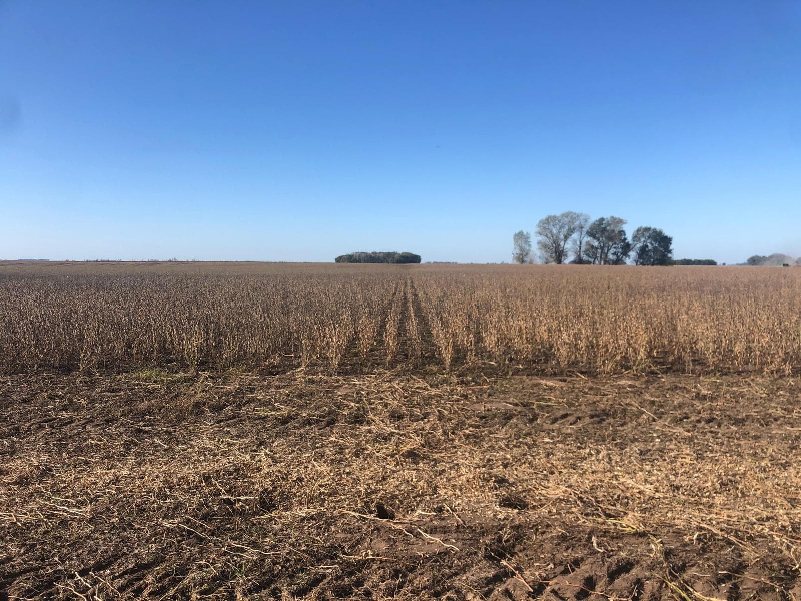 CAMPO EN VENTA en General Alvear - 1