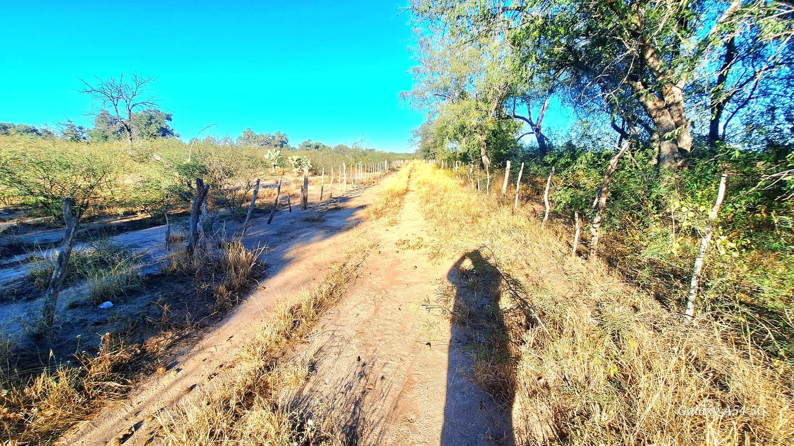 Media Naranja, Departamento Cruz del Eje Campo de 179 Has. - 1