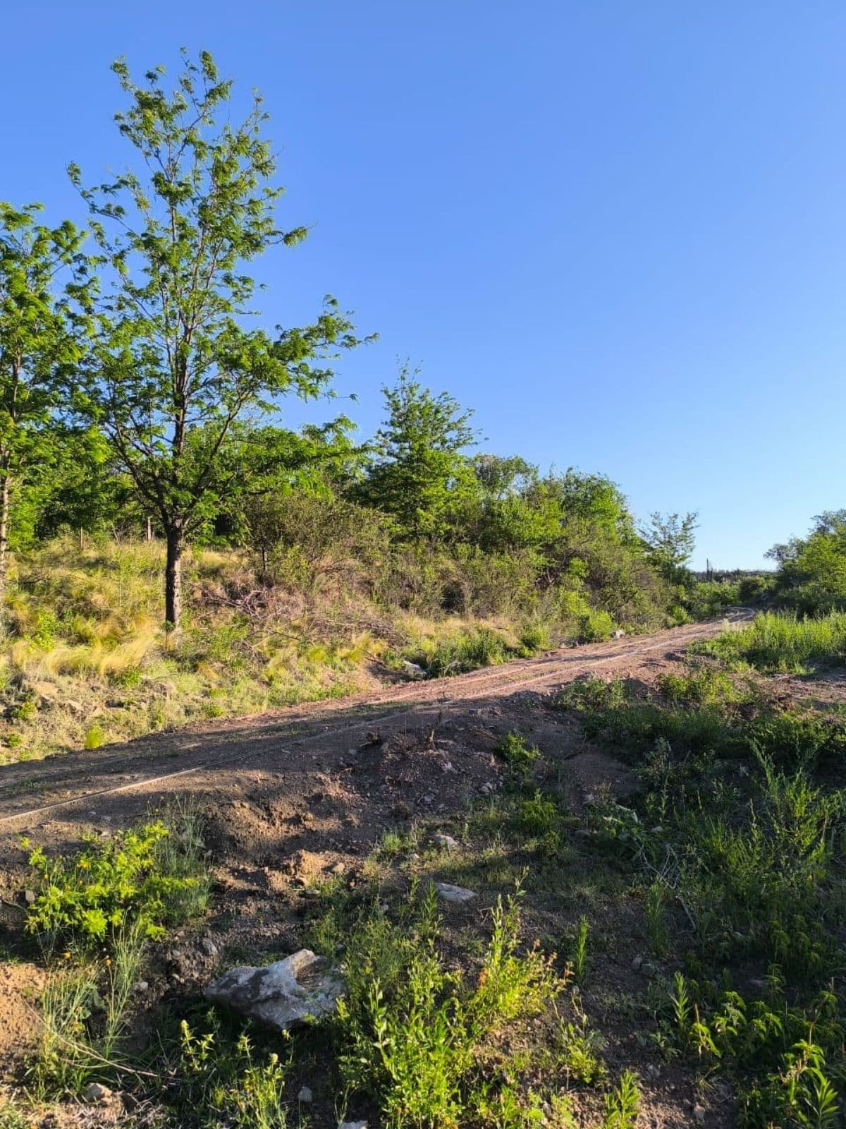 Terreno - La Cumbre - 1