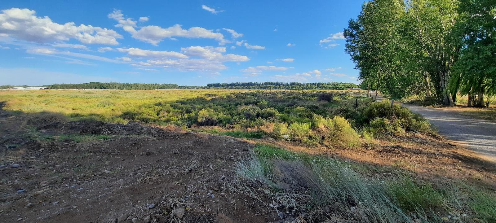 En Venta, Hectareas en Plottier Frente a Ex Ruta 22 - 1