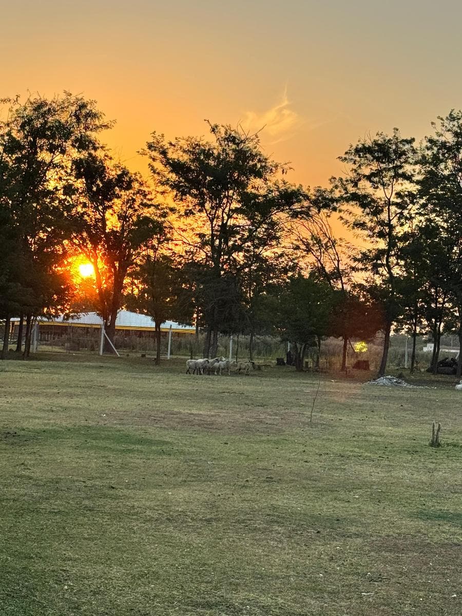 Chacra con excelente acceso en Carlos Keen - 1