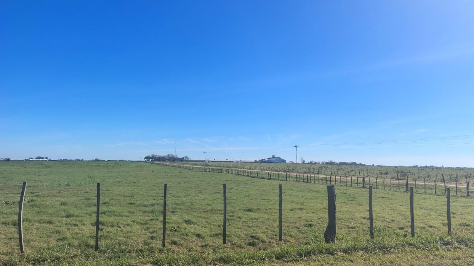 Campo en venta - 12.500Mts2 - Entre Ríos - 1