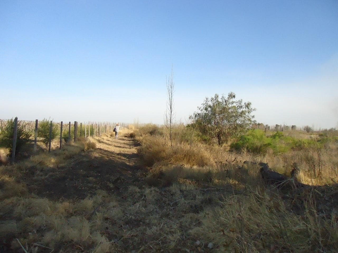Finca en Venta 5 Hectareas Campo Real Del Padre, San Rafael - Mendoza - 1