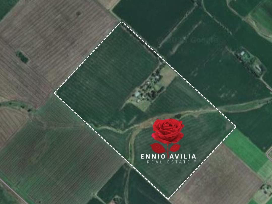 Chacra en Baradero RP41 Km 315 - 1