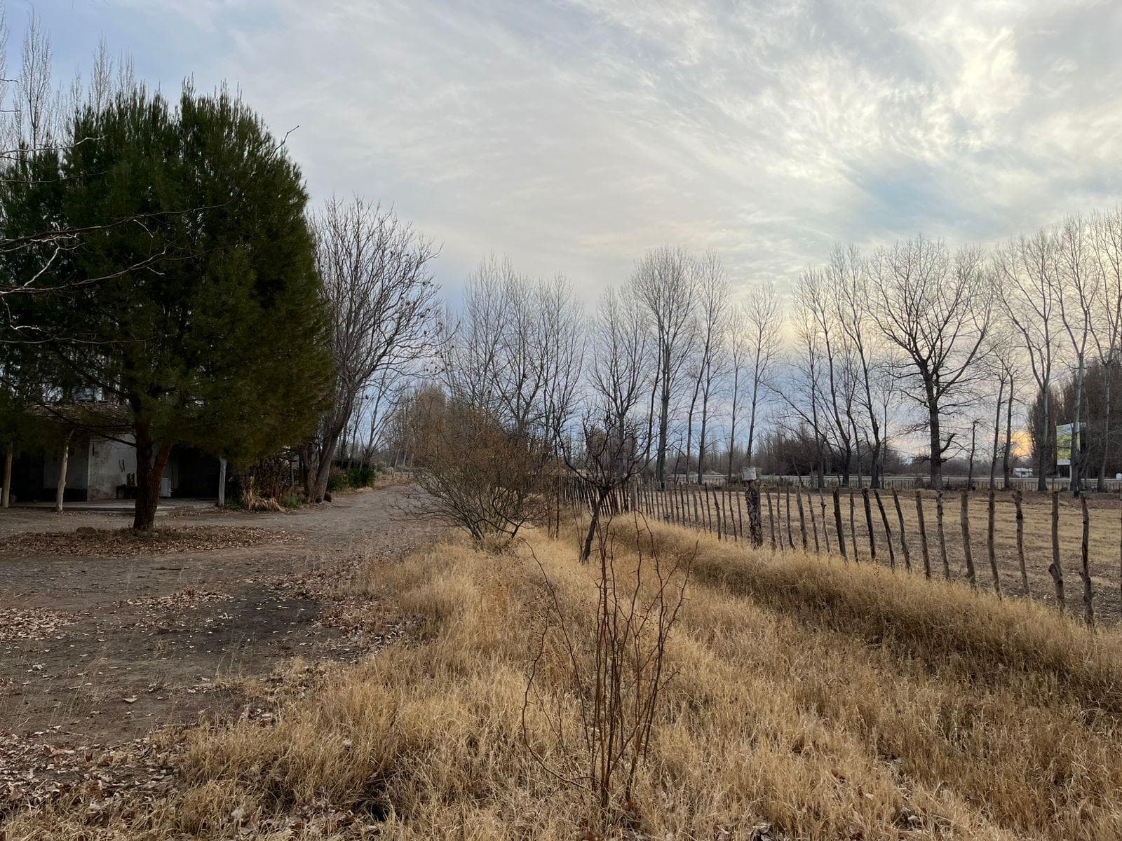 Chacra 10 has en Picún Leufú - 2