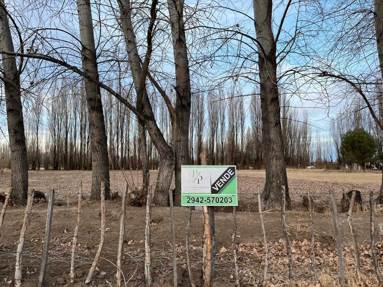 Chacra 10 has en Picún Leufú - 1