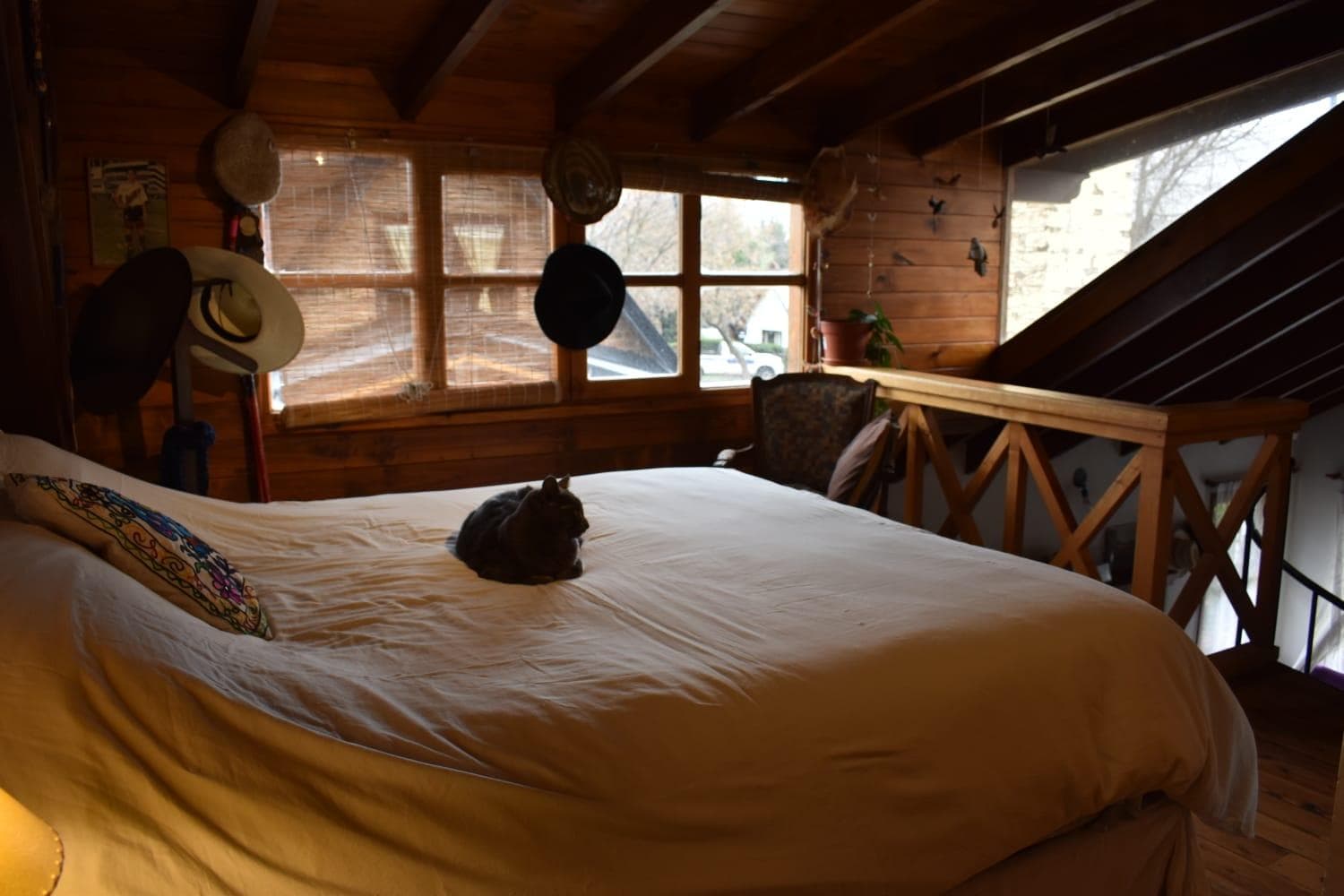 Casa en San Martin de los Andes - 1