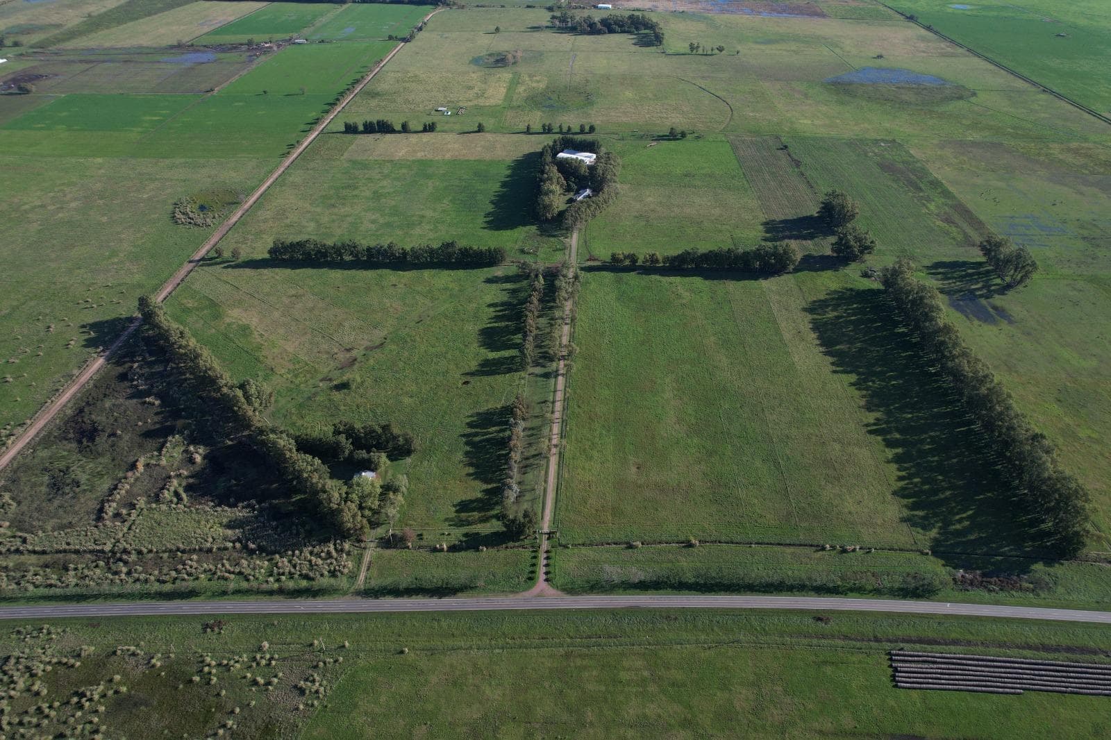 Campo en Ruta 41 Navarro - 1