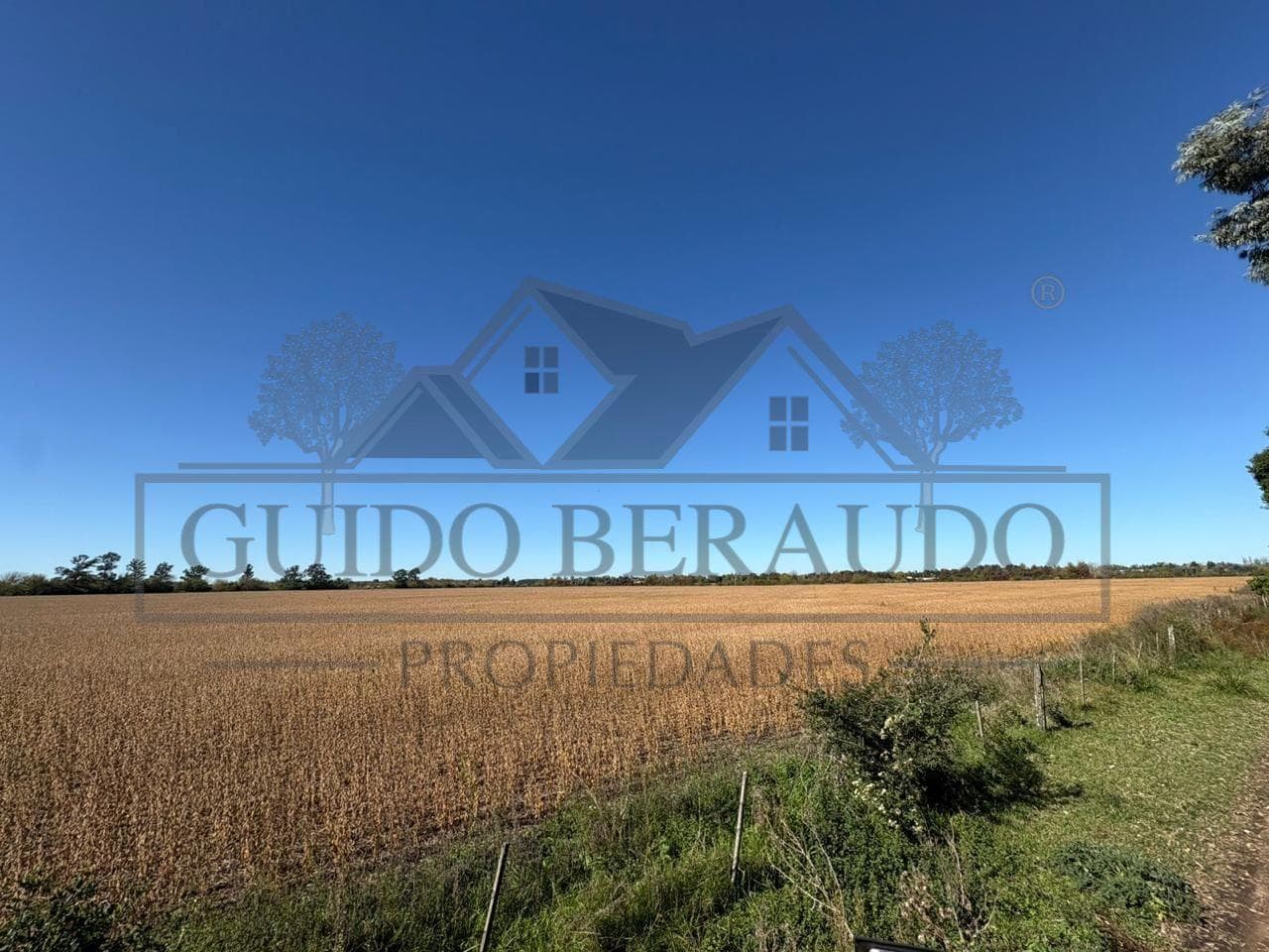 Campo en Carlos Keen - 1