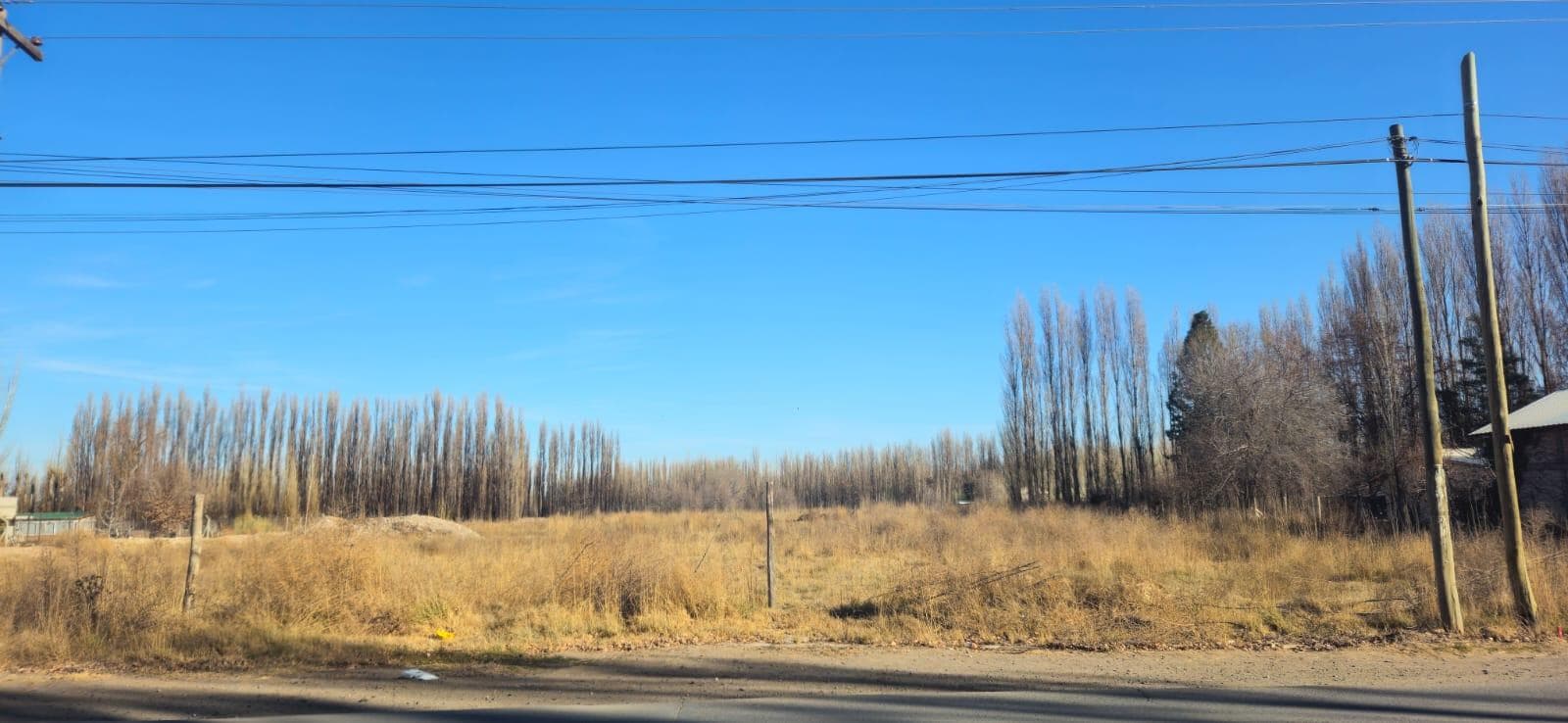 Venta terreno 3 HA - Calle Río Colorado - Plottier - Neuquén - 1