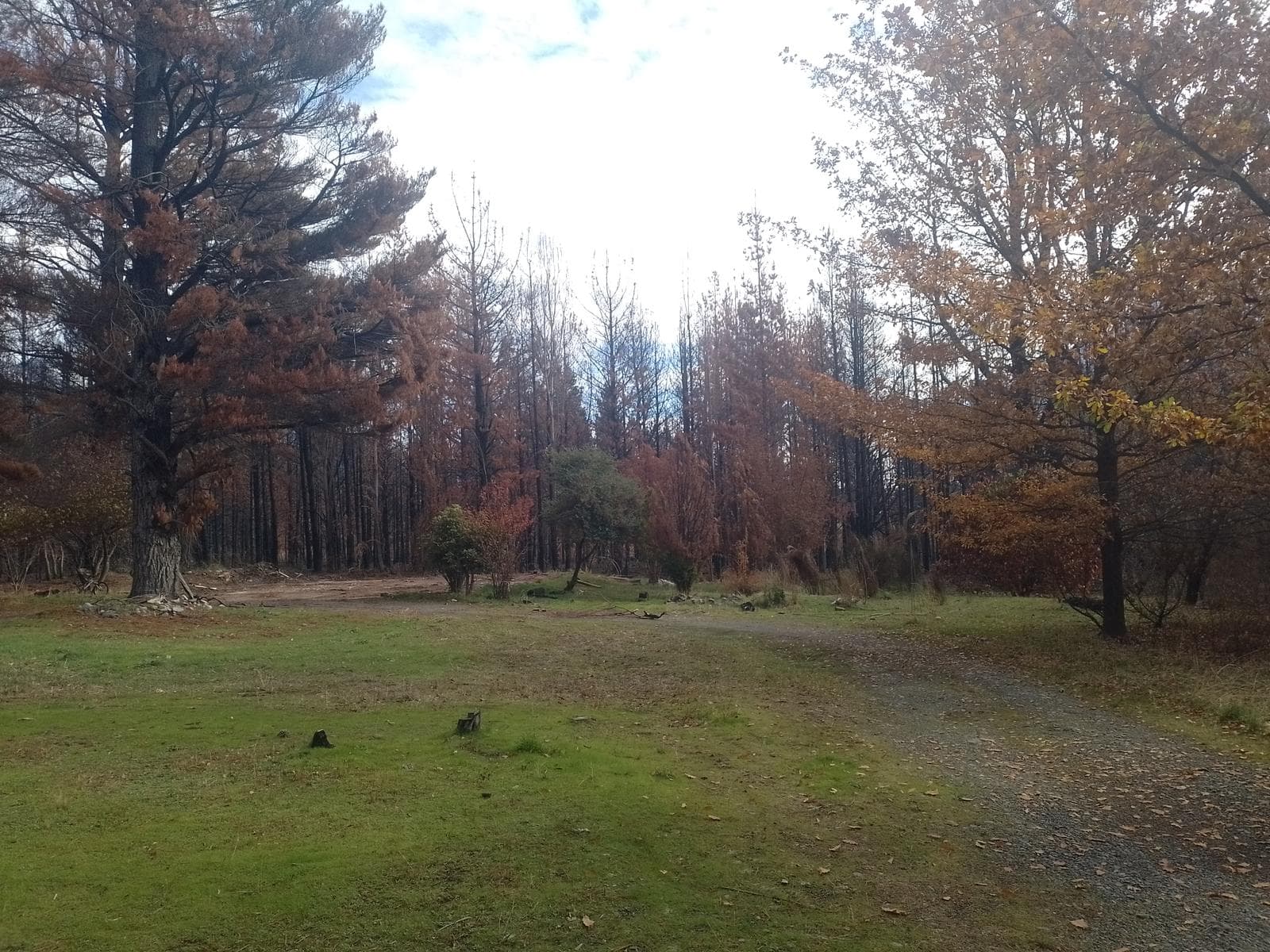 Terreno en Epuyen - 1