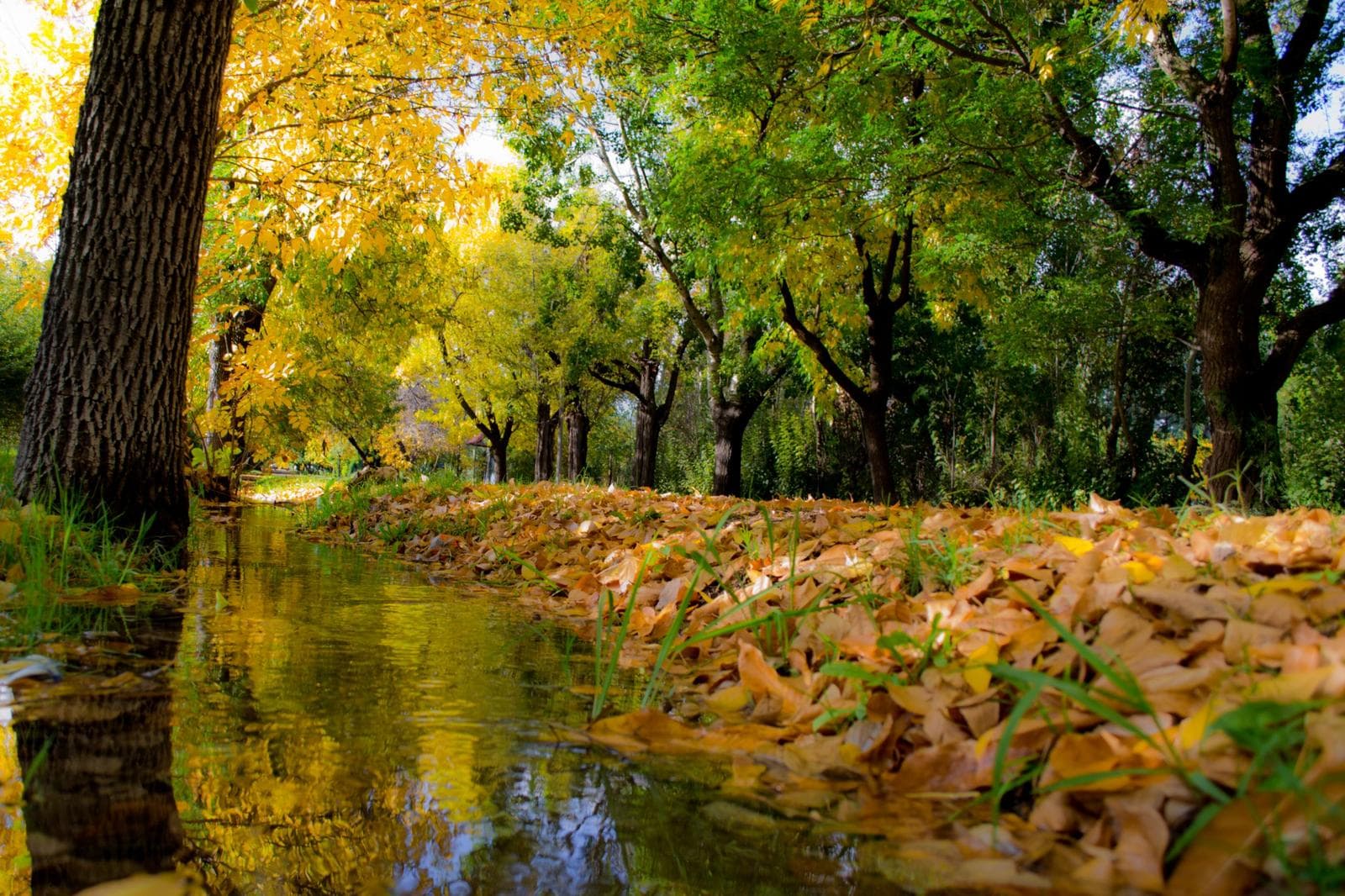 Campo en Villa 25 de Mayo - 1