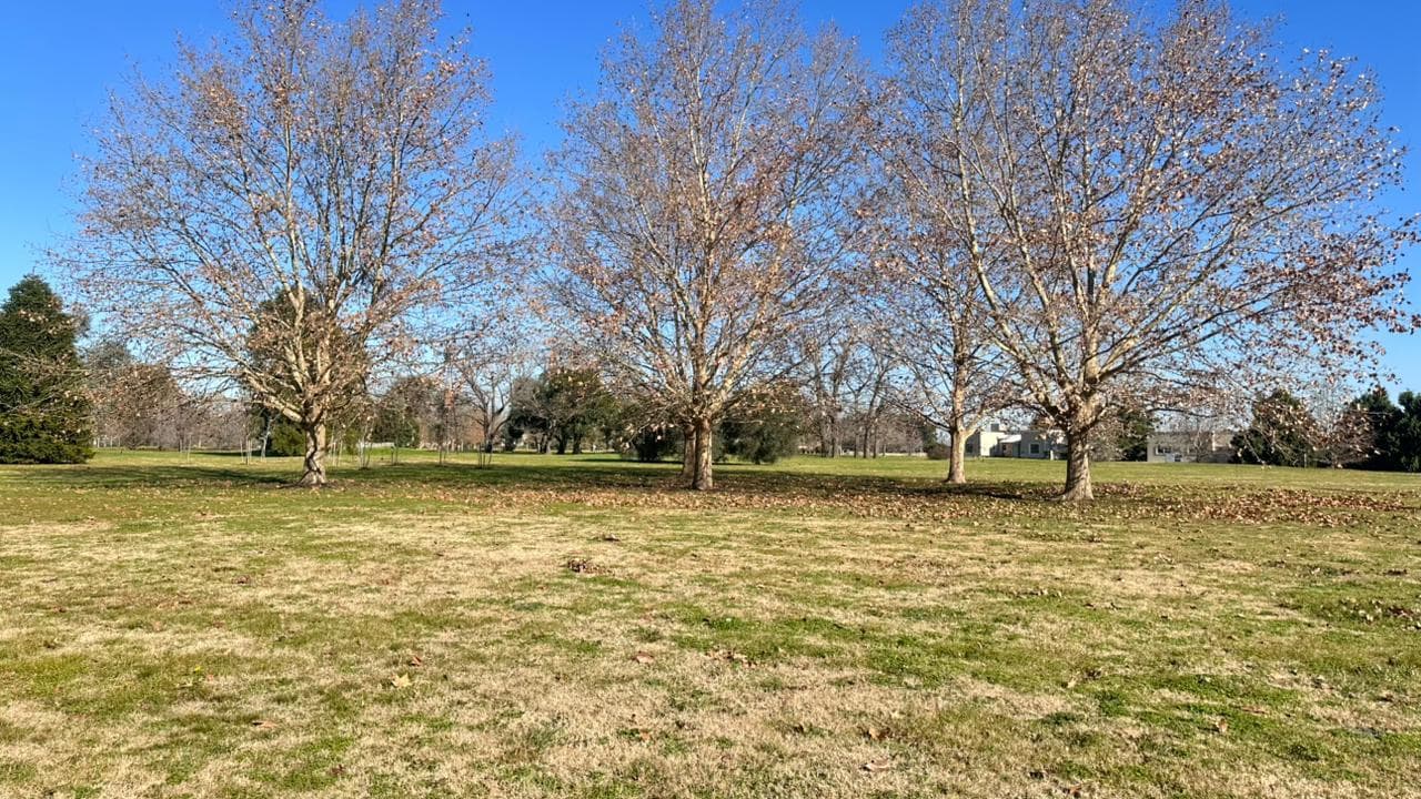 Lote en Venta , La primavera Golf Club 4.007 m2 - 1