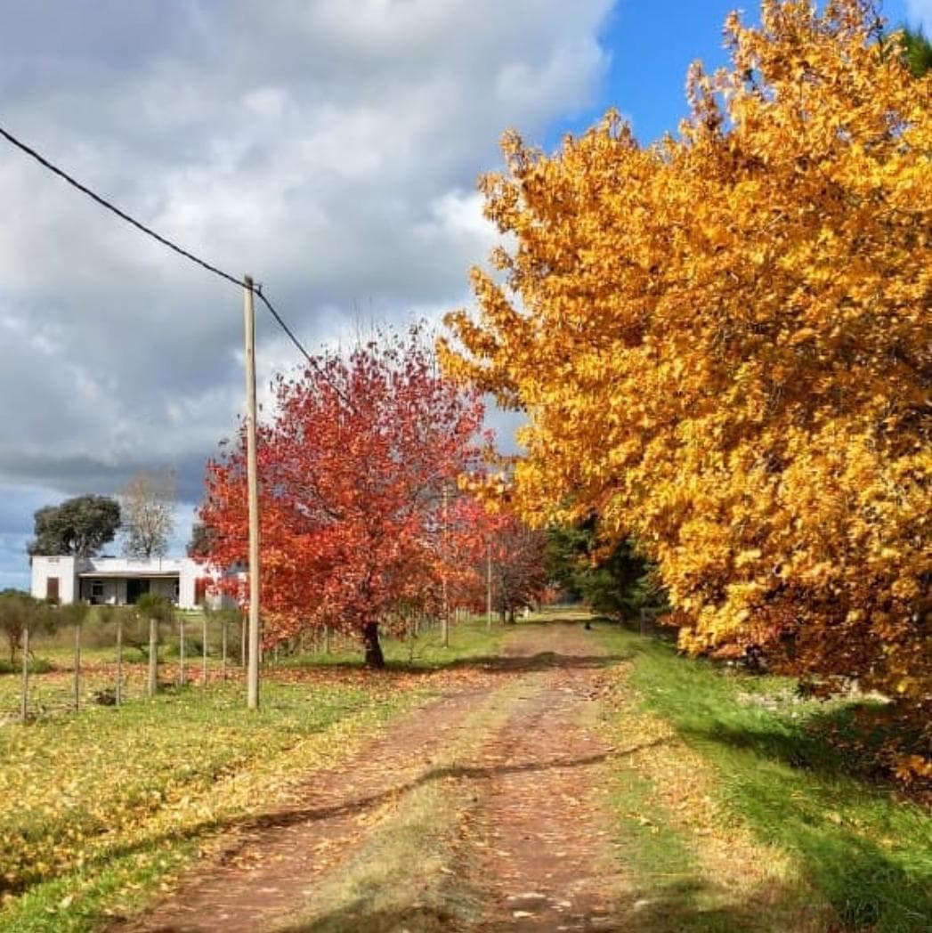 Quinta en Mercedes - 1