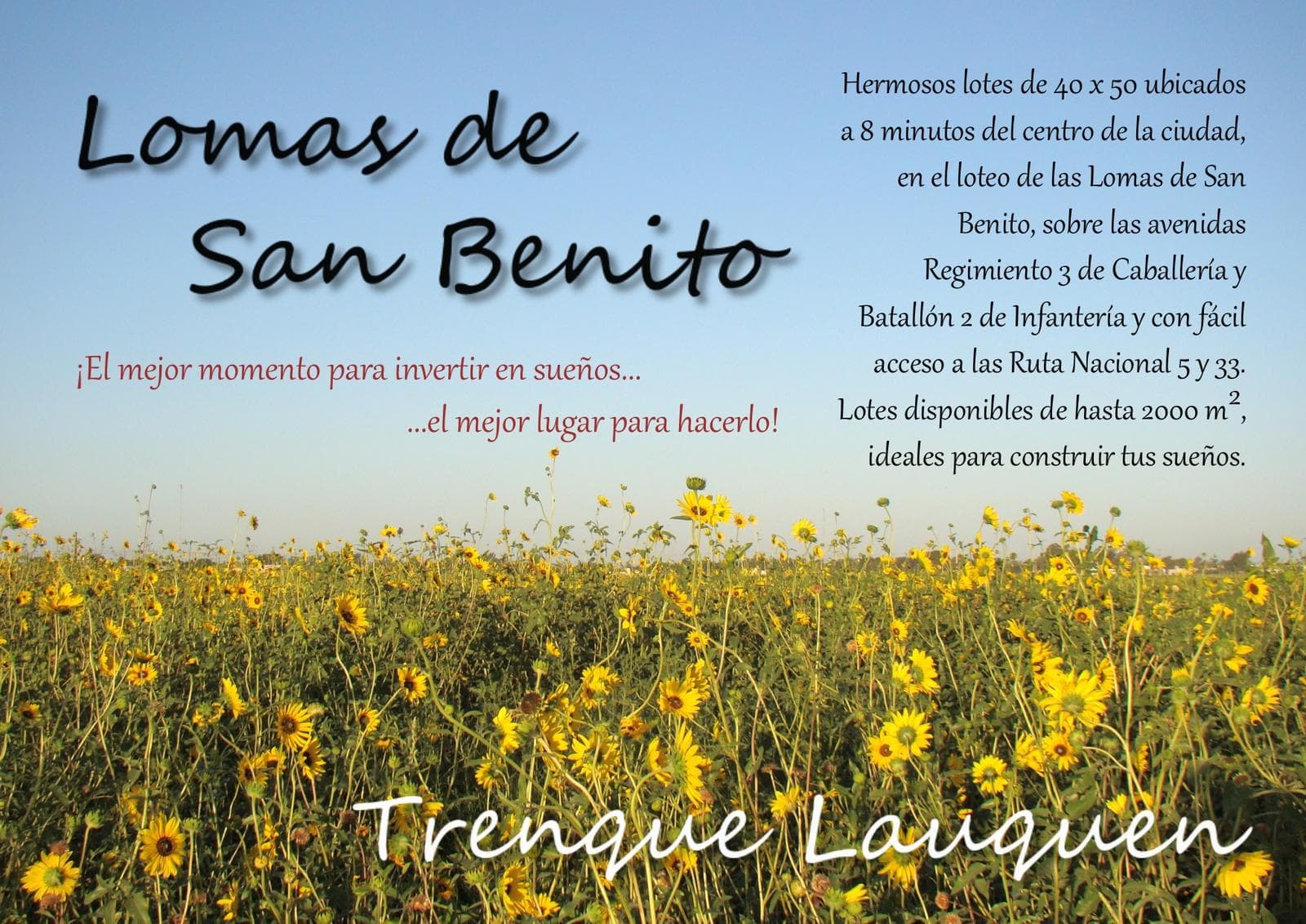 Terreno en venta en Trenque Lauquen - 1