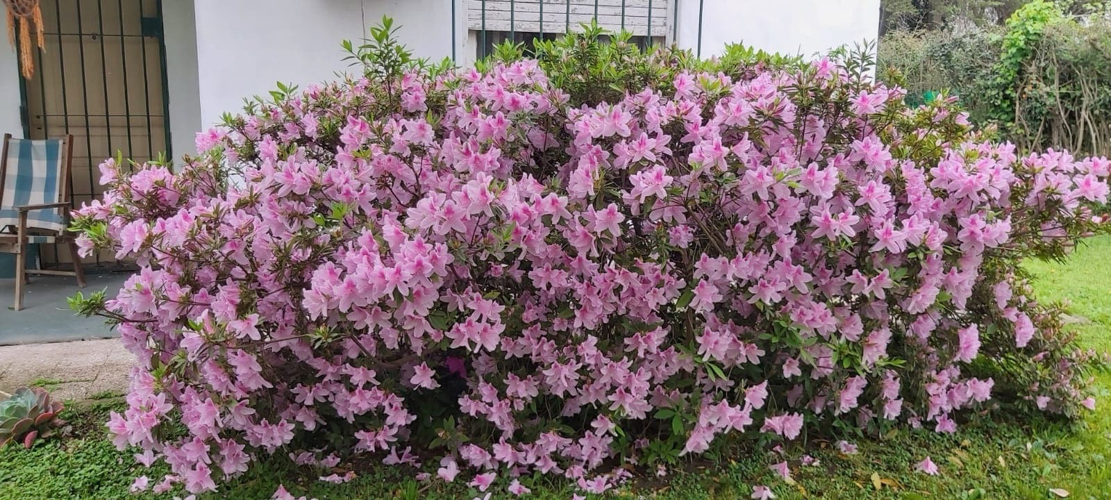 Quinta - La Victoria (Escobar) - 2