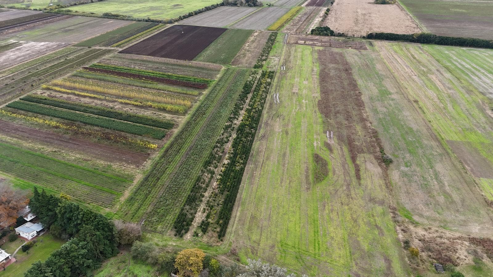 Campo en Venta - 1
