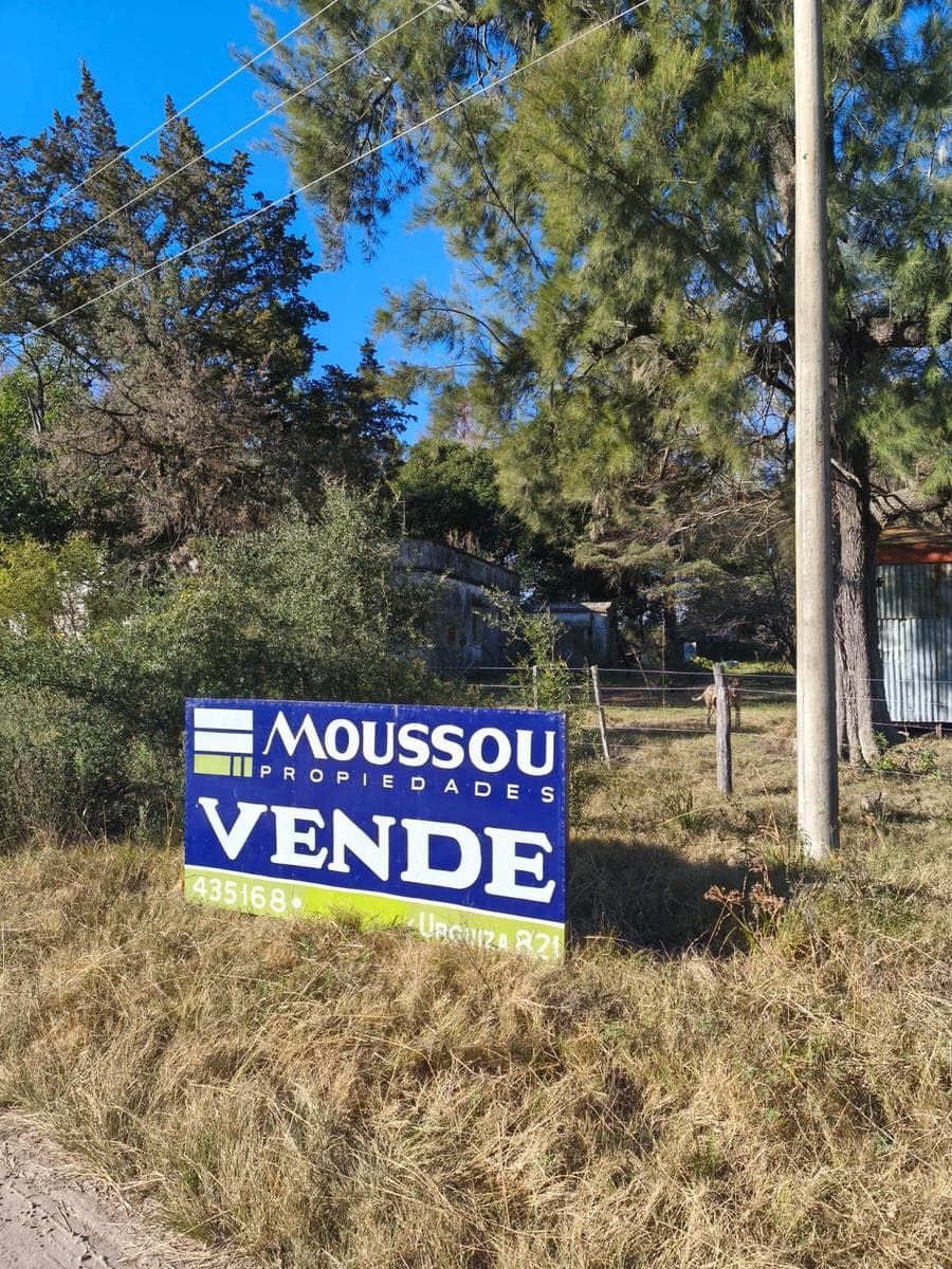 Campo en Gualeguaychu sobre colectora de ruta 14 - 1