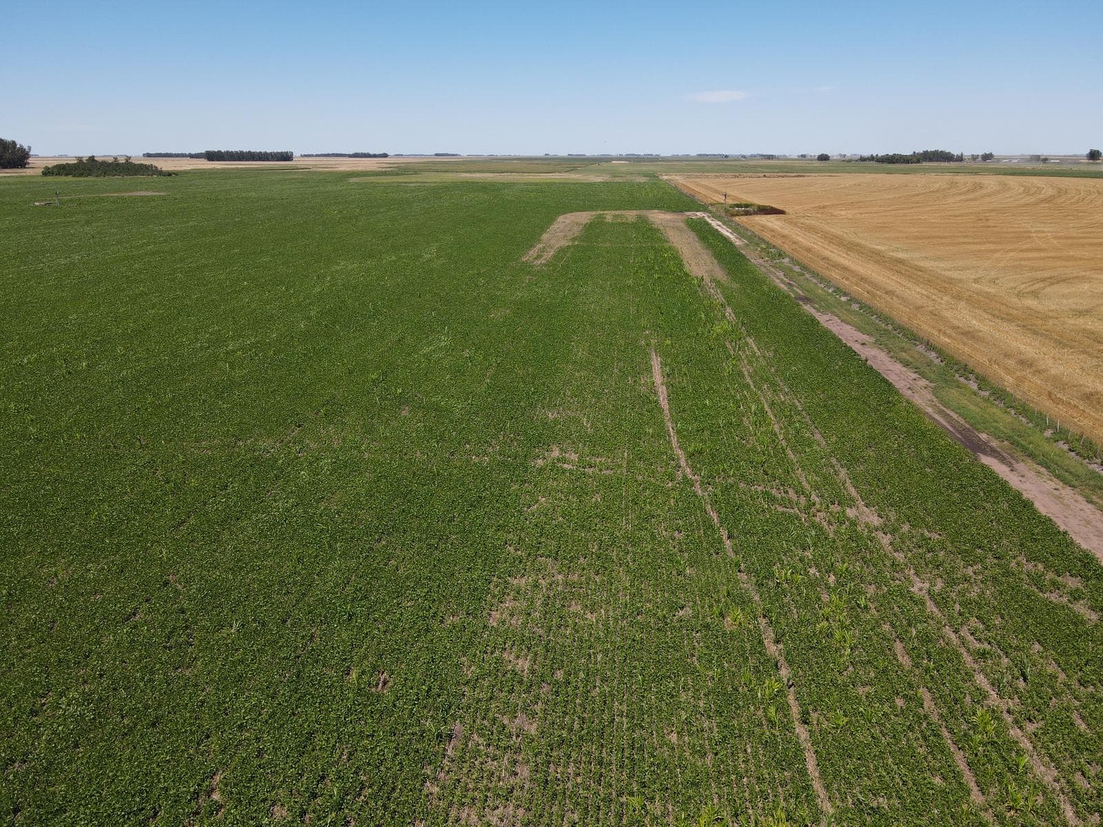 Campo en venta 84 has - 60% Agricola en General Belgrano - 1