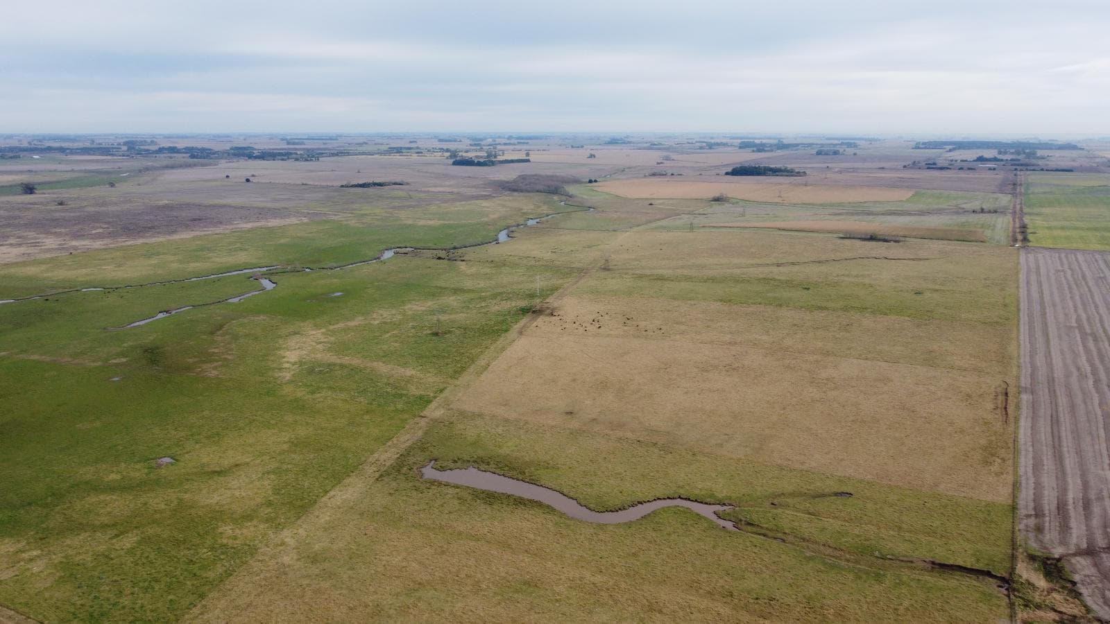 Oportunidad en Baradero: campo mixto de 100 hectáreas en venta - 1