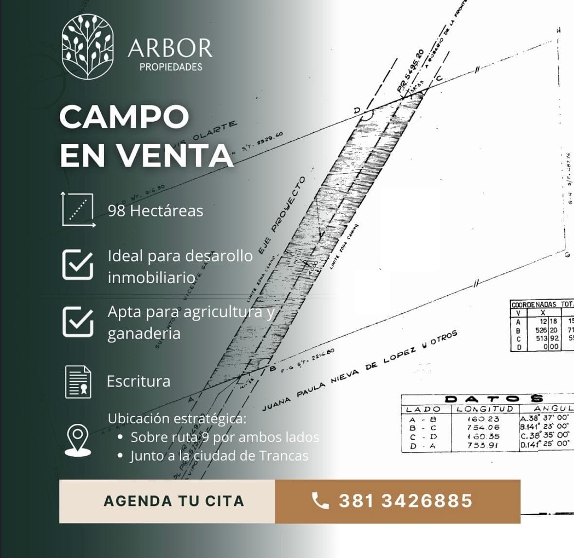 Campo en VENTA - 1