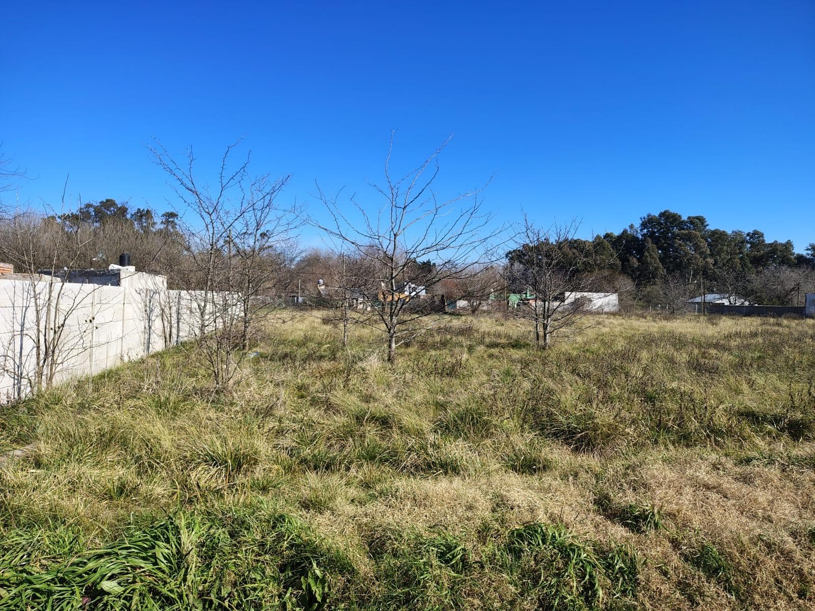 VENTA LOTES SAN VICENTE DOMSEELAR SIN EXPENSAS - 1
