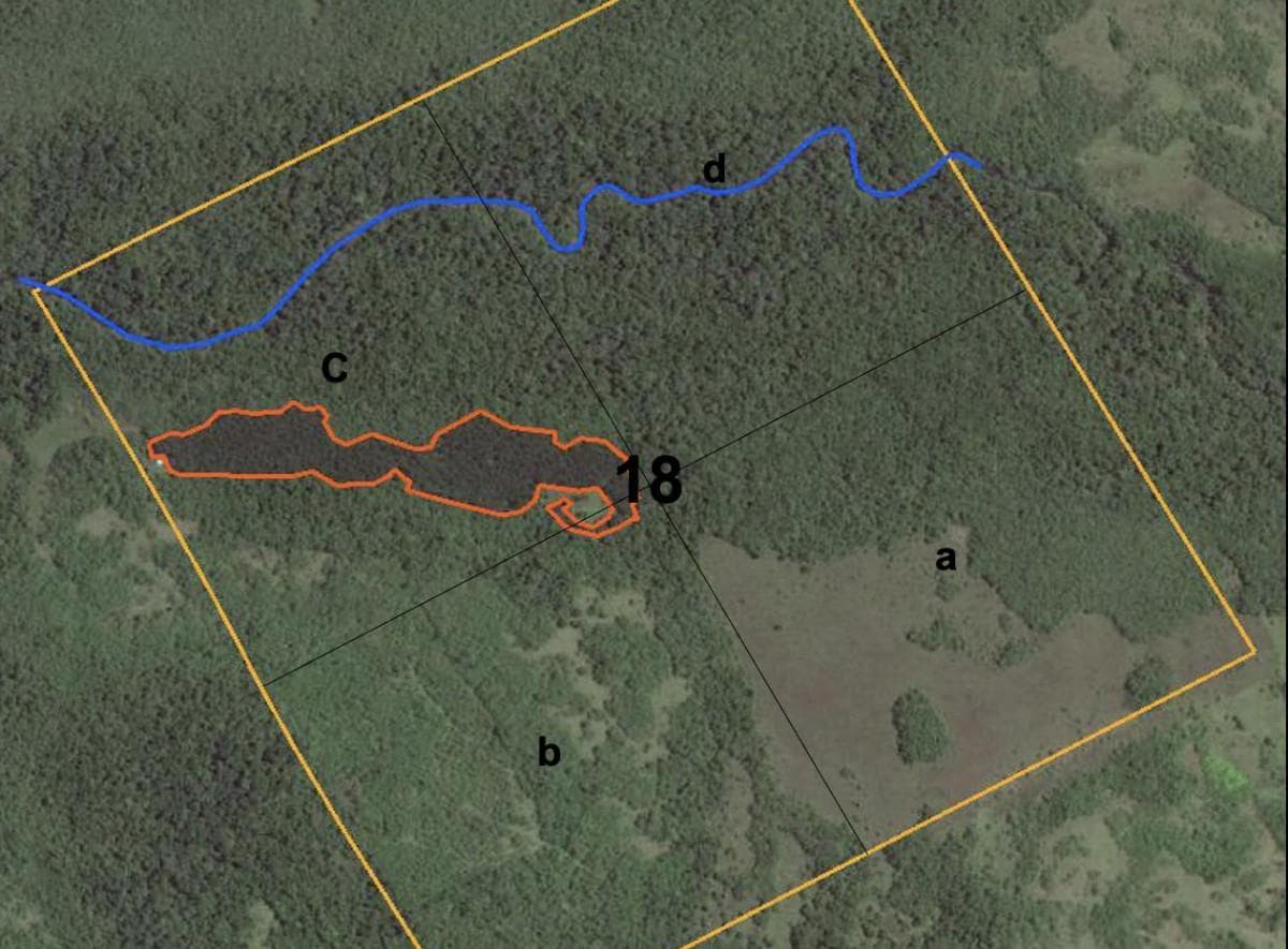 Campo de 100 ha en venta en Cerro Cora - 1