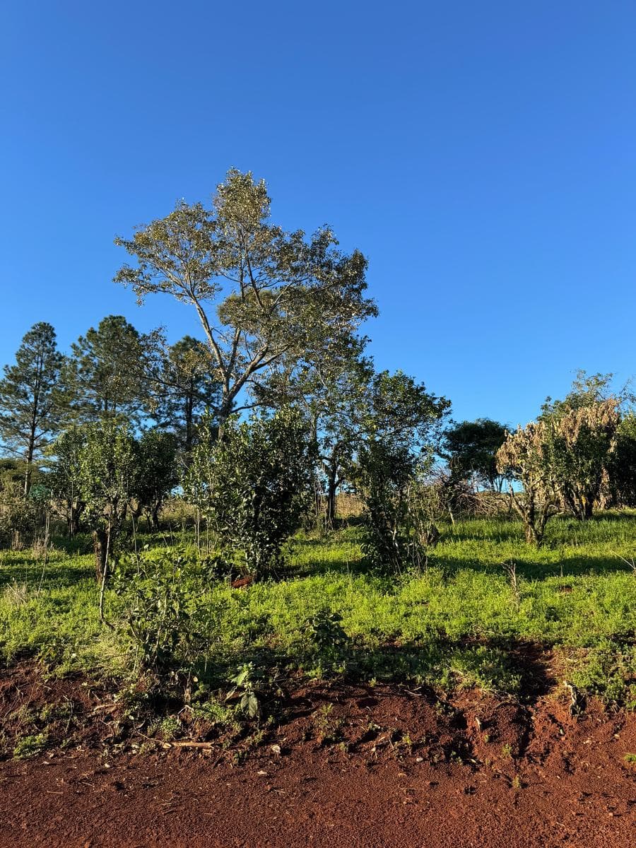 Terreno en Venta en San Vicente - 1