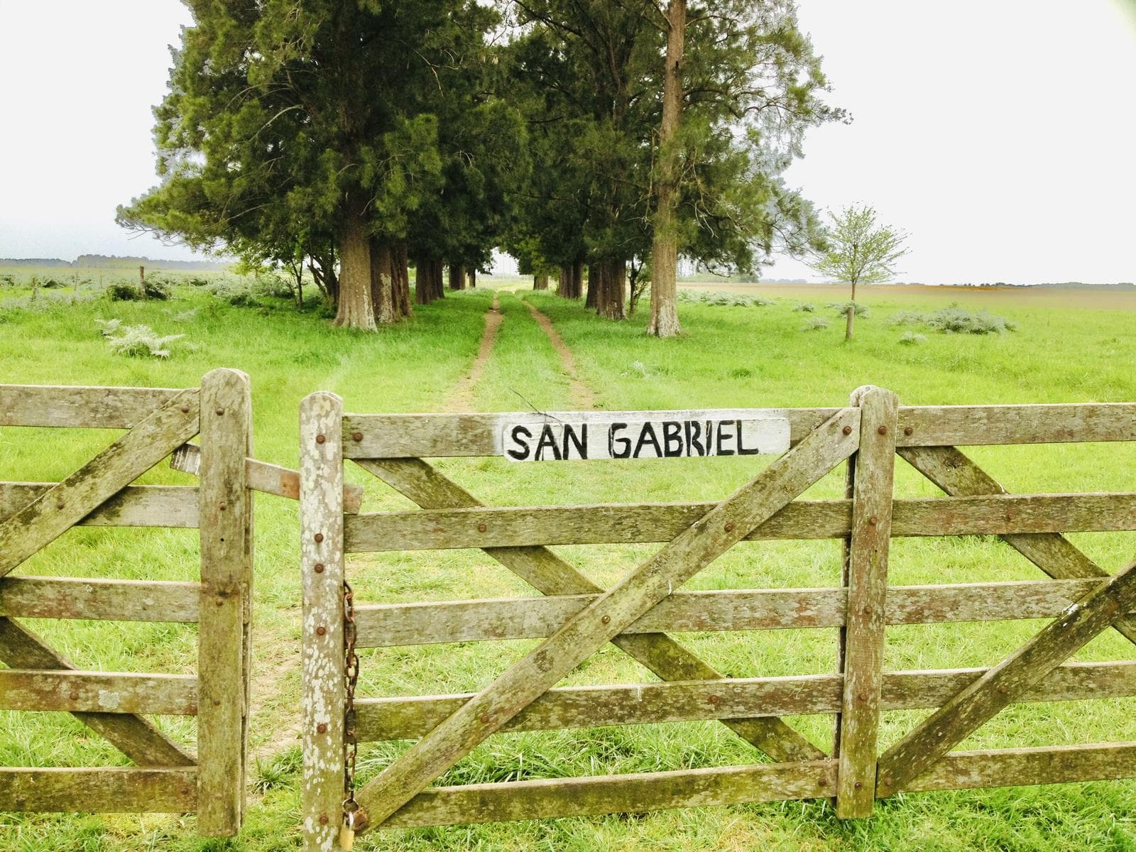 Campo de 61Has en Venta en Ruta 3 Km Km 72, Cañuelas. - 1