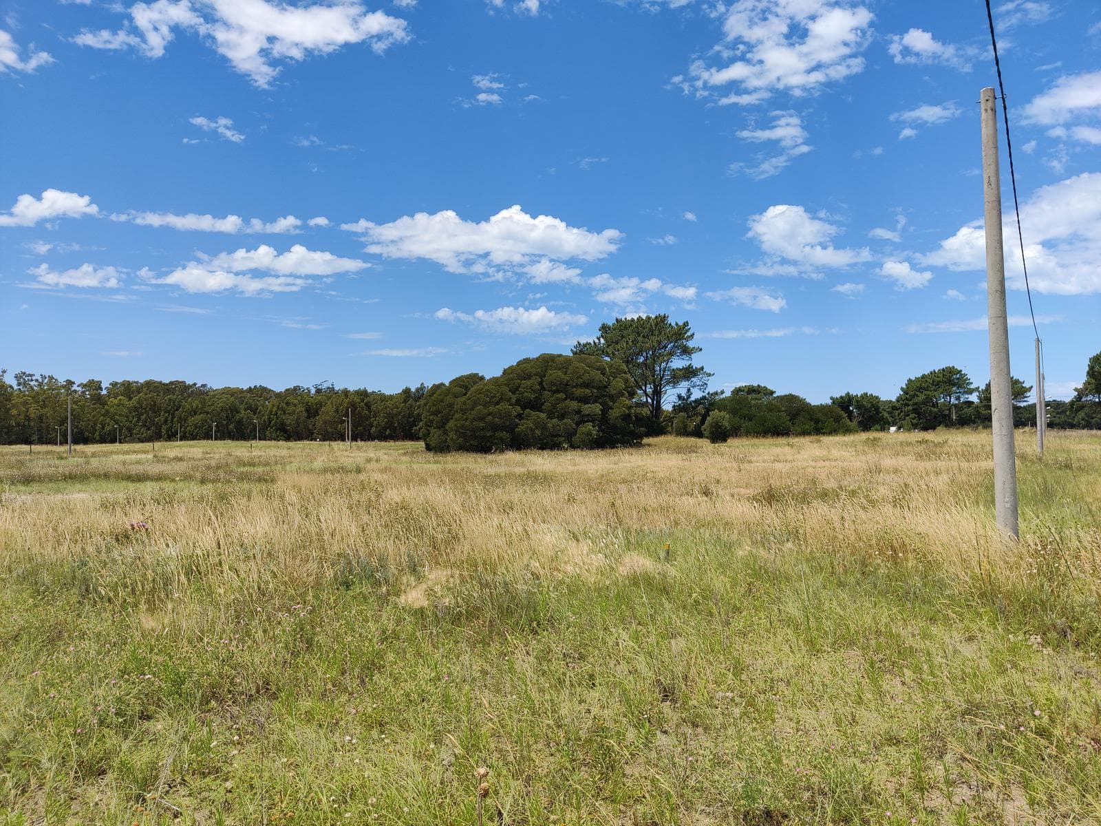 Terreno en venta en Claromeco - 1