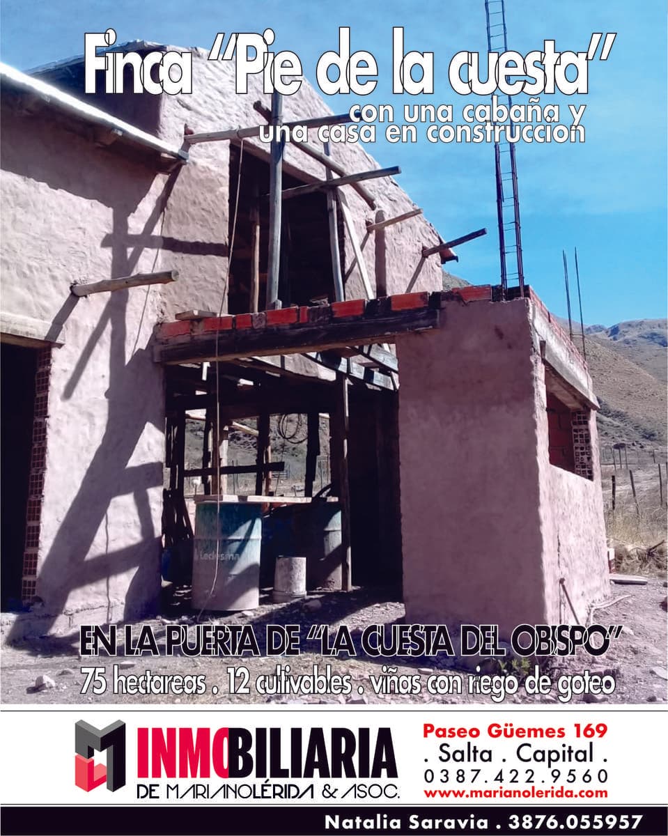 Finca en la "Cuesta del Obispo" - 1