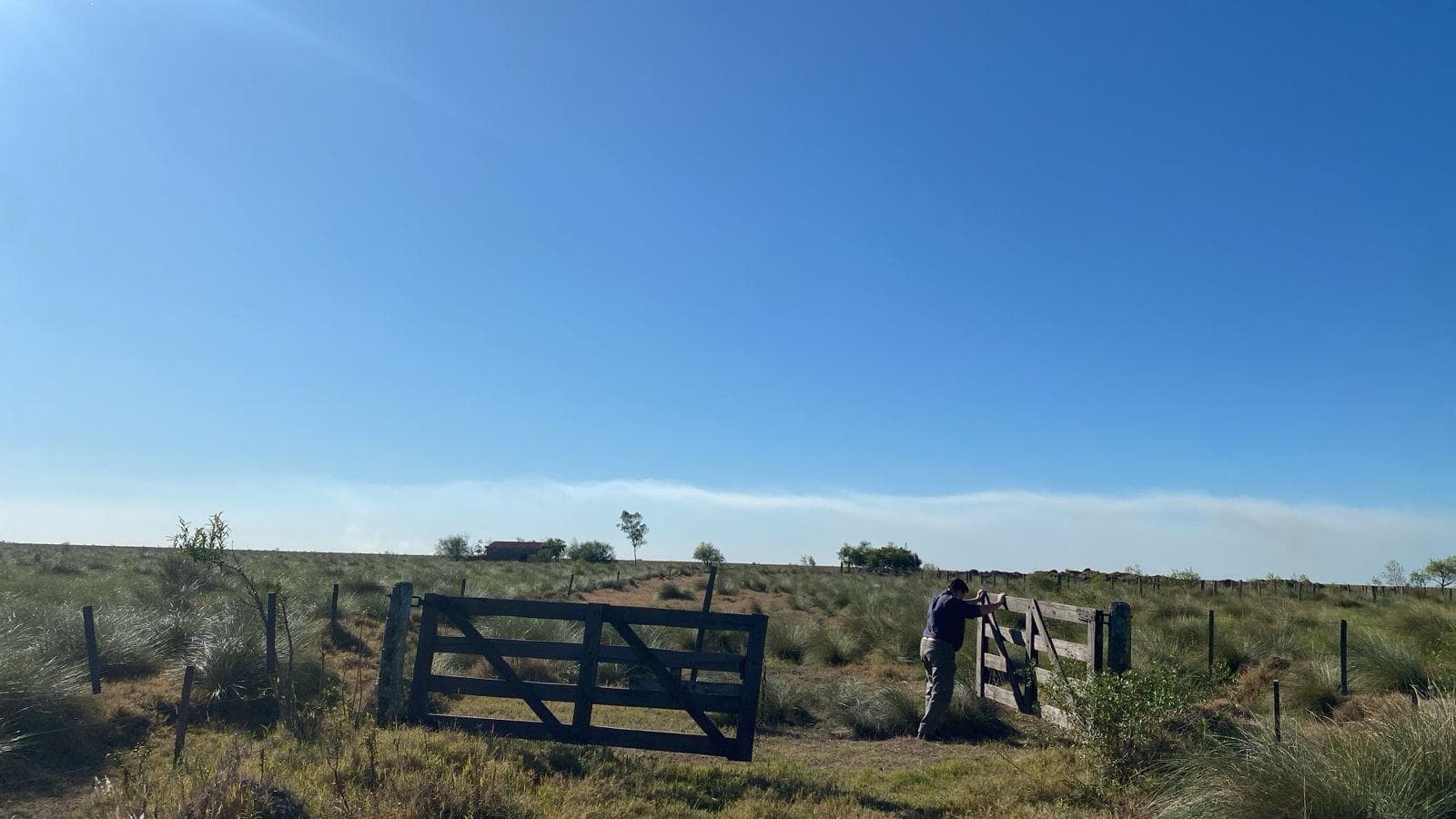 Venta Campo 1500 Ganadero Cria - Vera Tostado San Cristobal - 1