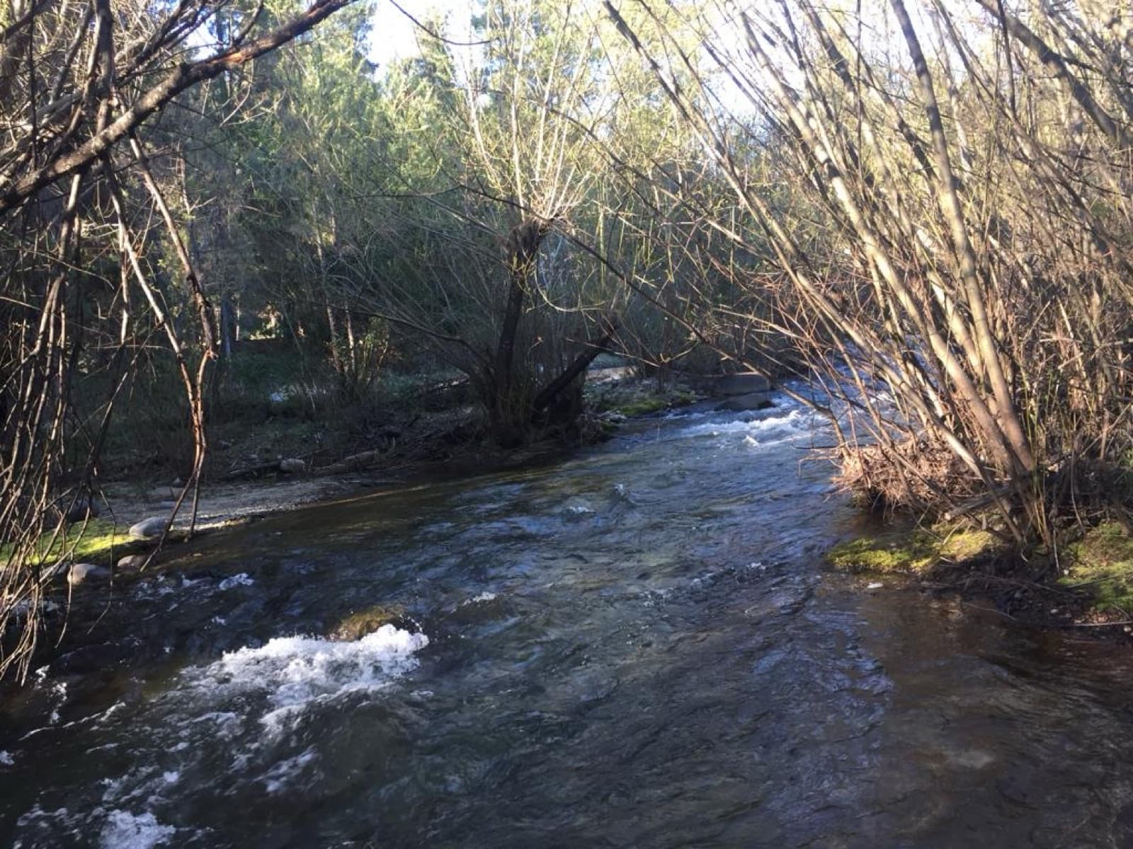 Chacra - El Bolson - 2