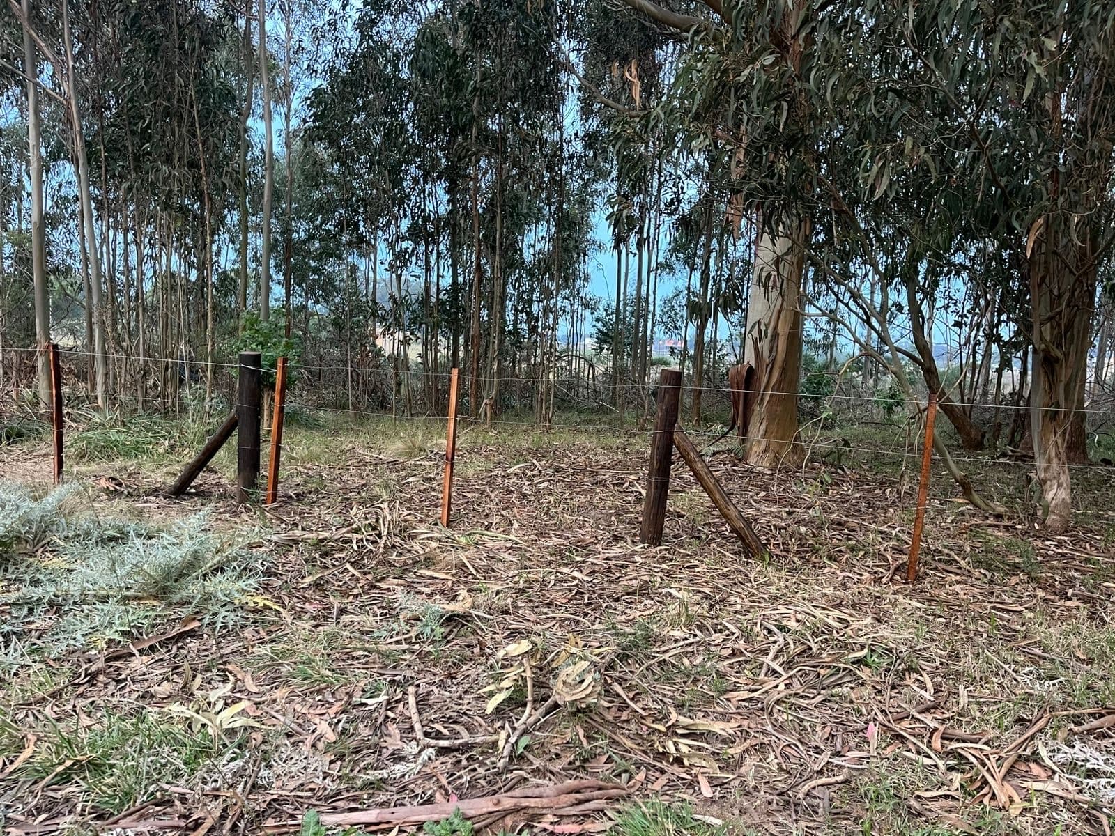 Amplio y arbolado terreno en Santa Isabel, Chapadmalal - 1