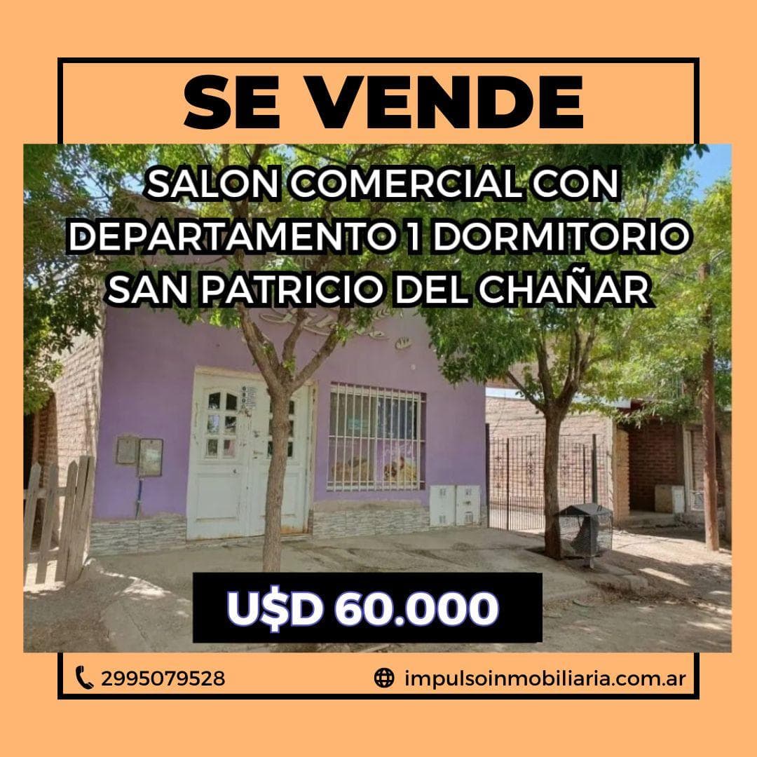 Vendo Local Comercial con departamento en San Patricio del Chañar - 1