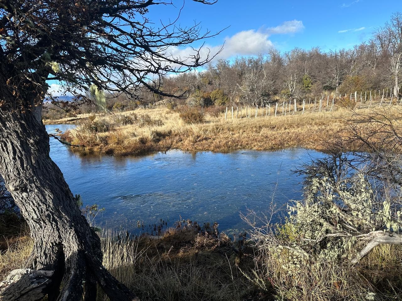 Fraccion con costa de rio - Trevelin - Patagonia - 1