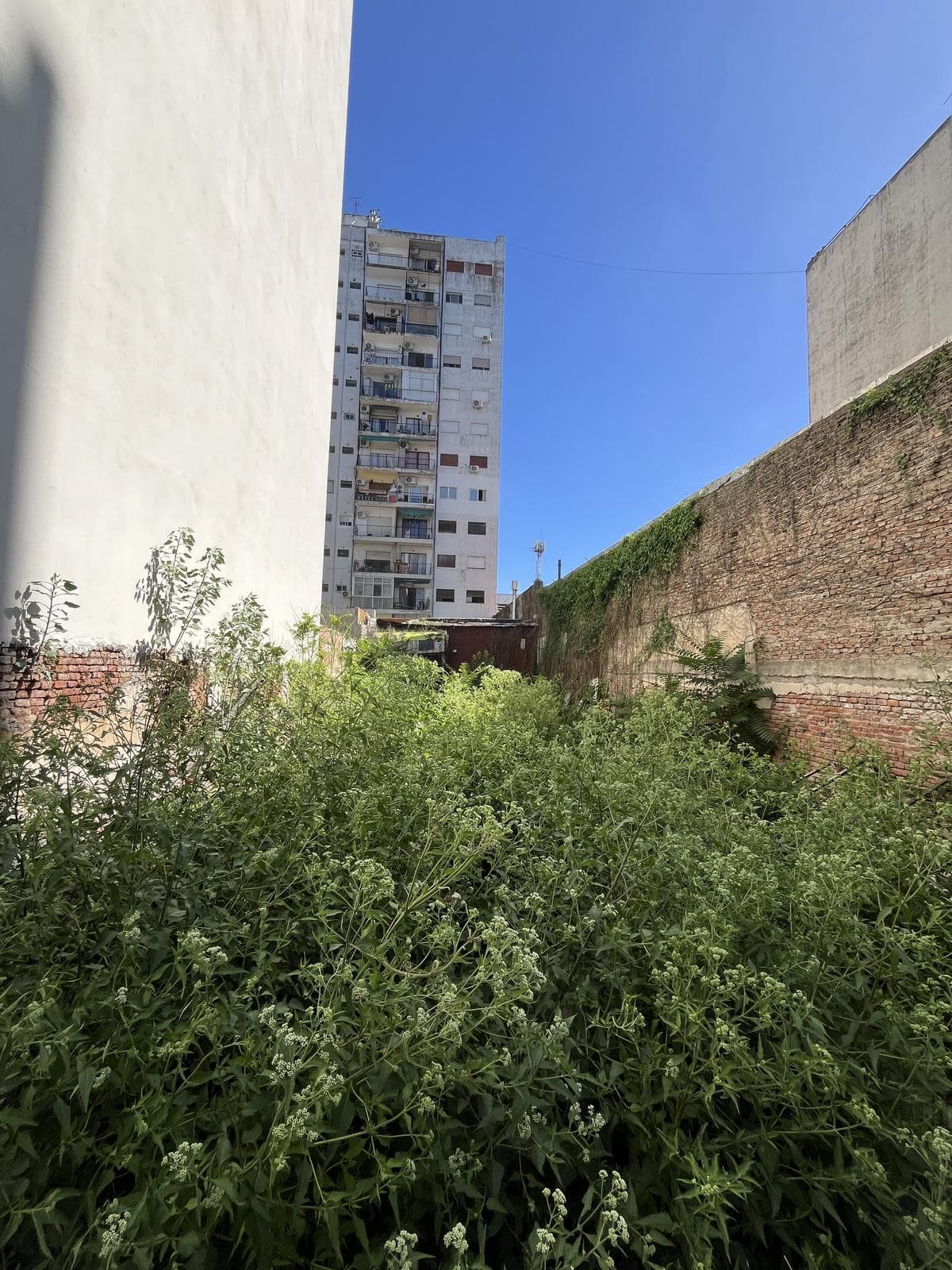 Alquiler Terreno en Villa Crespo ideal carga o logistica - 2