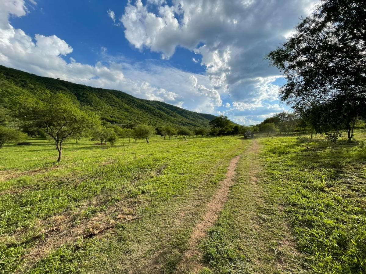 Campo en VENTA - Capital - Salta - 1