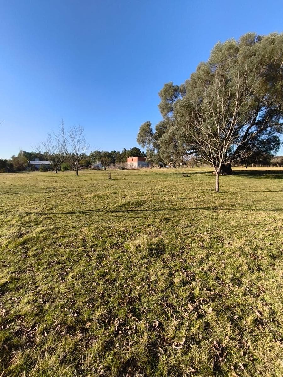 Chacra en Gualeguaychu - 1