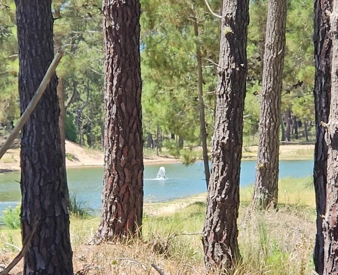 Terreno con Vista al Lago en Bosques Pinamar - 1