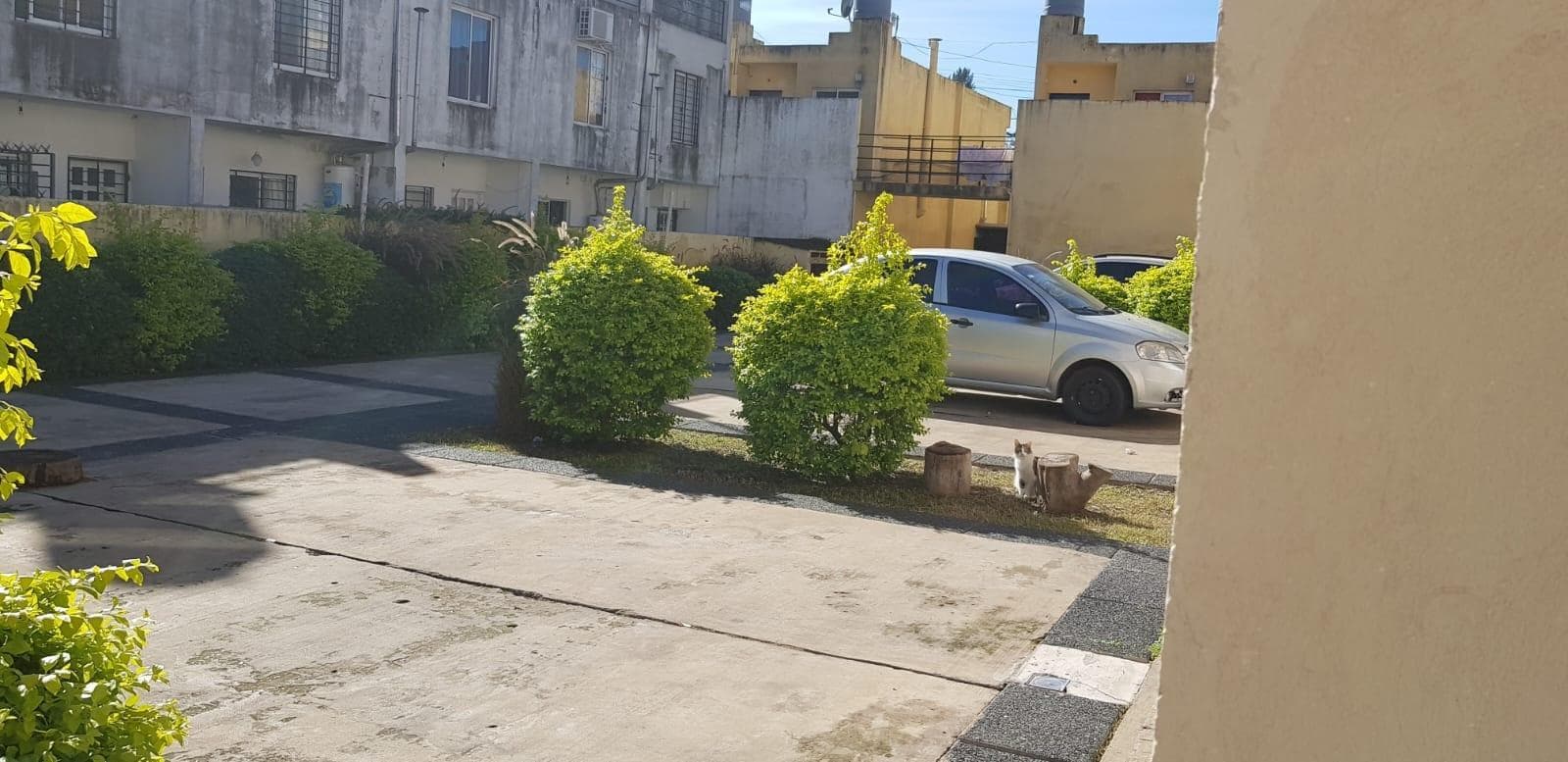 ALQUILER TRIPLEX - 1