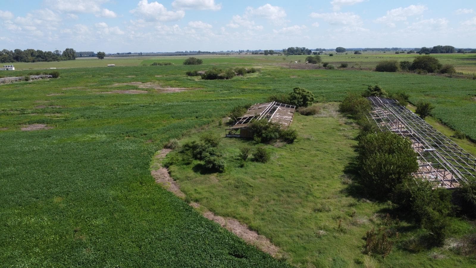 32has en venta en Navarro, a 1500m2 de la ruta 41. - 1