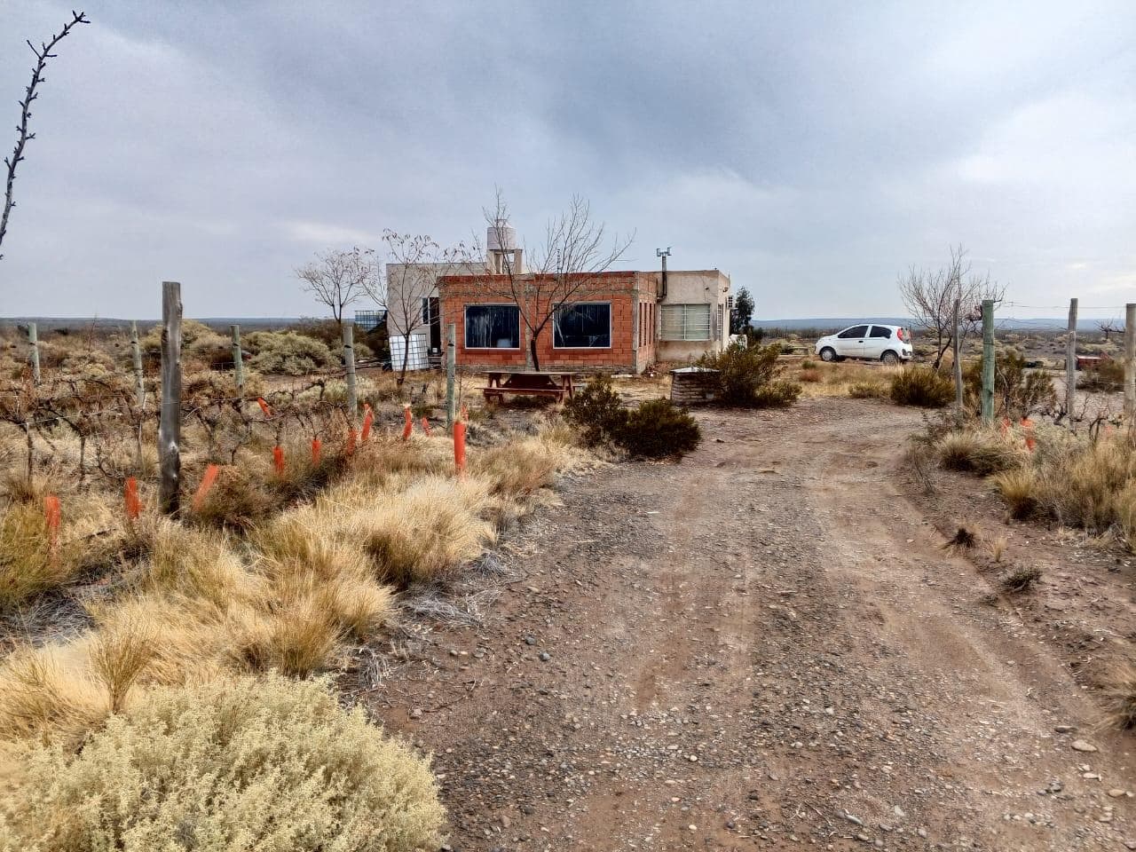 VENTA CASA QUINTA CON VIÑEDOS - 1