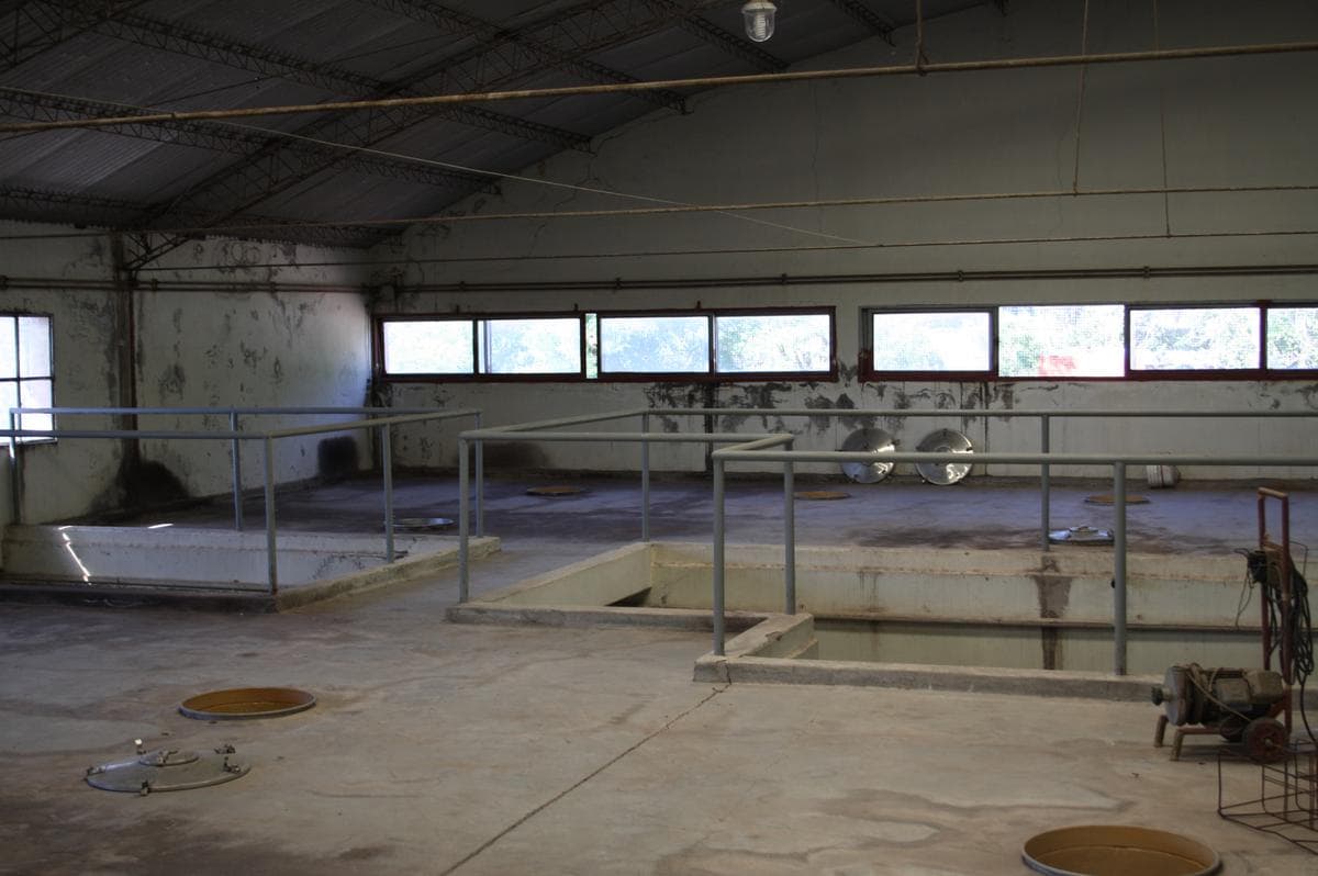 Bodega - Mendoza - 1