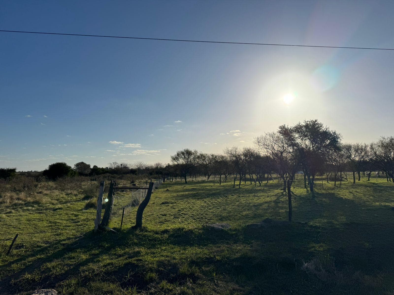 Chacra ubicada en Parada 16 - 1
