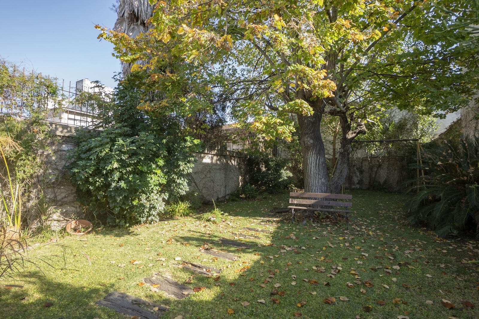 Venta Terreno 8.66 x 60 Wilde - 1